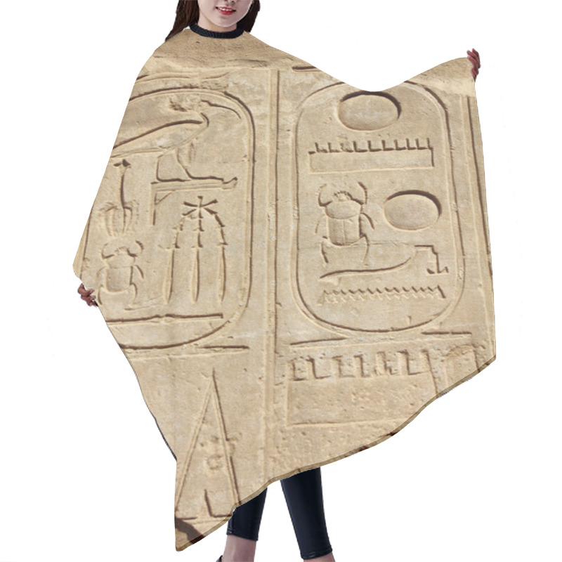 Personality  Ancient Egypt Hieroglyphics On Wall Hair Cutting Cape