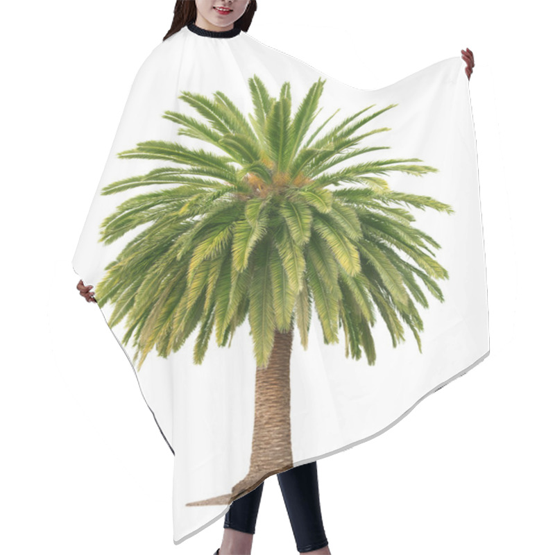 Personality  Palm On White Background Hair Cutting Cape