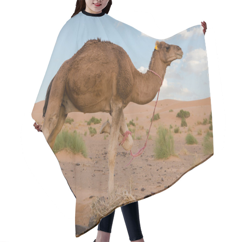 Personality  Camels In The Desert Hair Cutting Cape