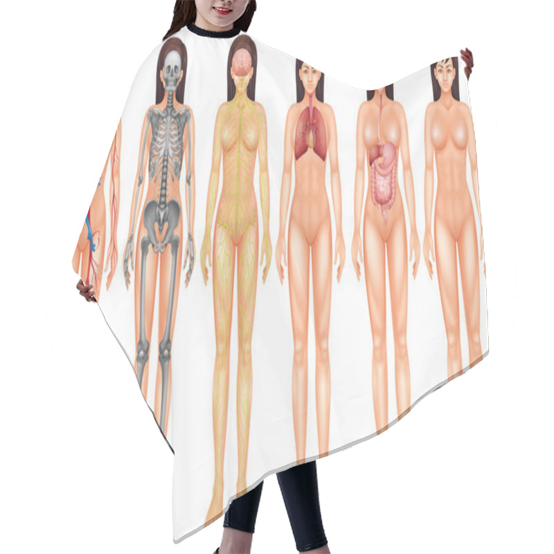 Personality  Body System Hair Cutting Cape