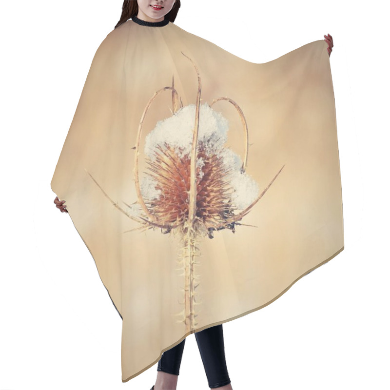 Personality  Frozen Thistle Covered With Snow Hair Cutting Cape