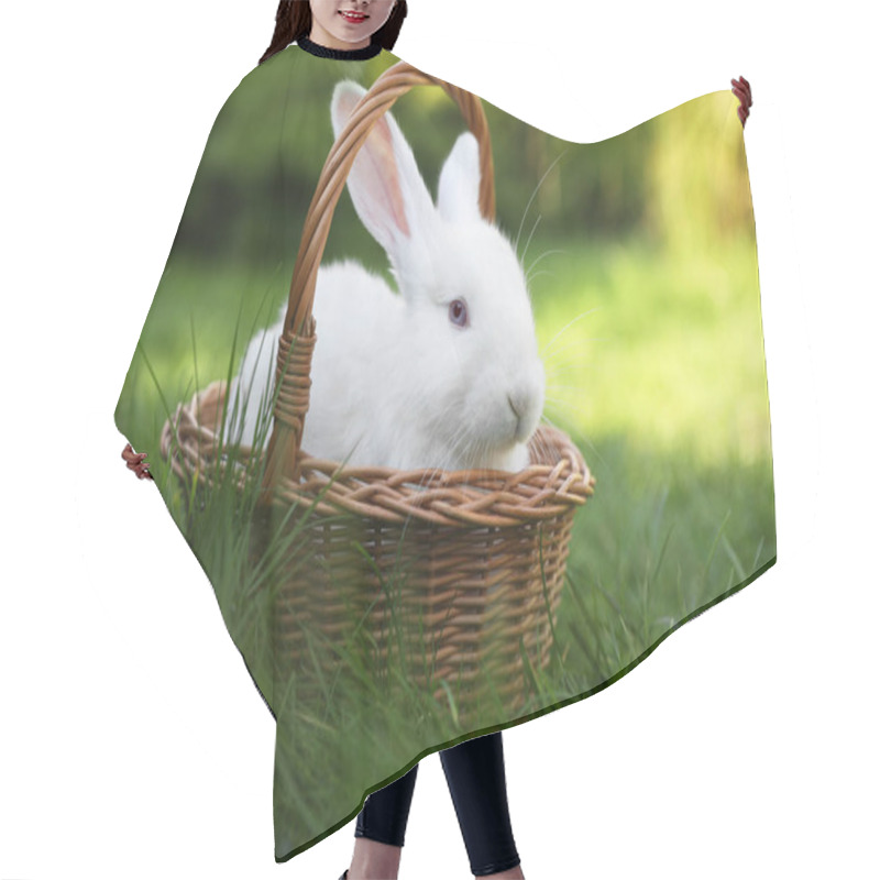 Personality  Cute White Rabbit In Wicker Basket On Grass Outdoors Hair Cutting Cape