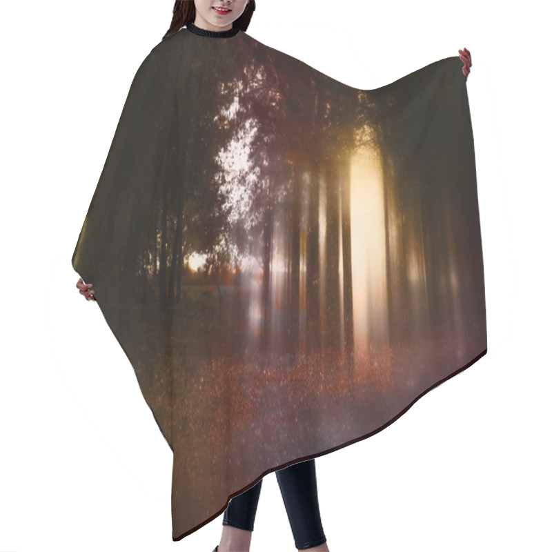 Personality  Abstract And Mysterious Background Of Blurred Forest Hair Cutting Cape