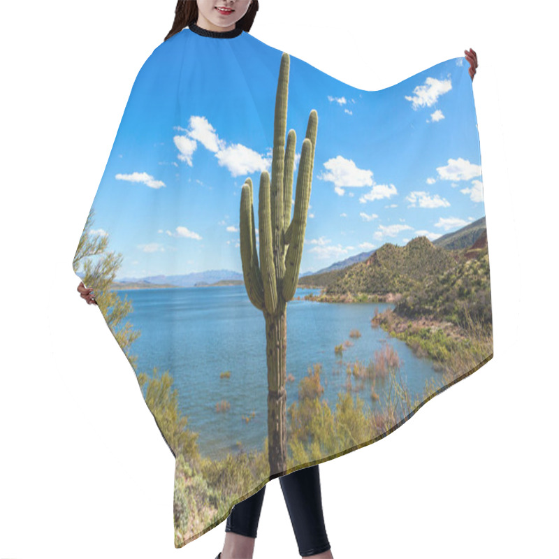 Personality  Saguaro Cactus And Water In Arizona Desert Landscape. Old Saguaro Cactus With Multiple Arms By Roosevelt Lake In Sonoran Desert Of Arizona. Cactus Is Framed By A Blue Sky With Fluffy White Clouds And The Deep Blue Water Of The Reservoir.   Hair Cutting Cape