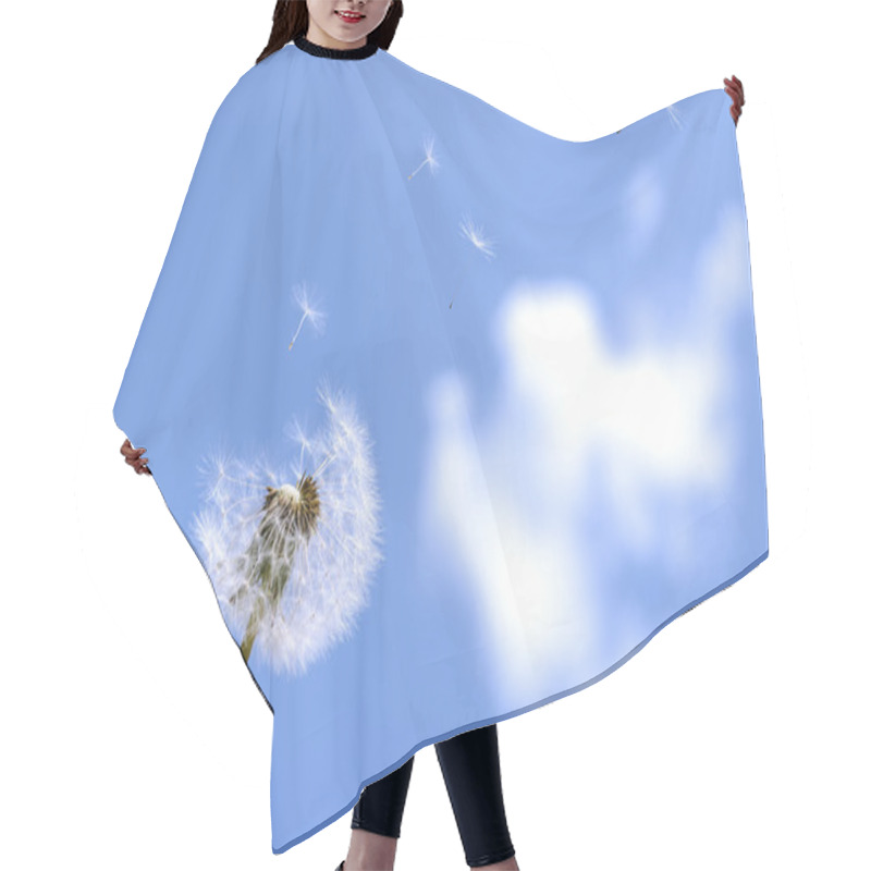 Personality  Blown Dandelion Hair Cutting Cape