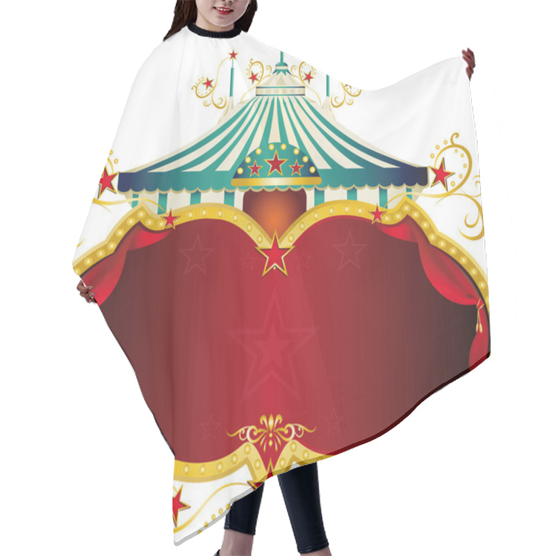 Personality  Magic Blue Baroque Circus Frame Hair Cutting Cape