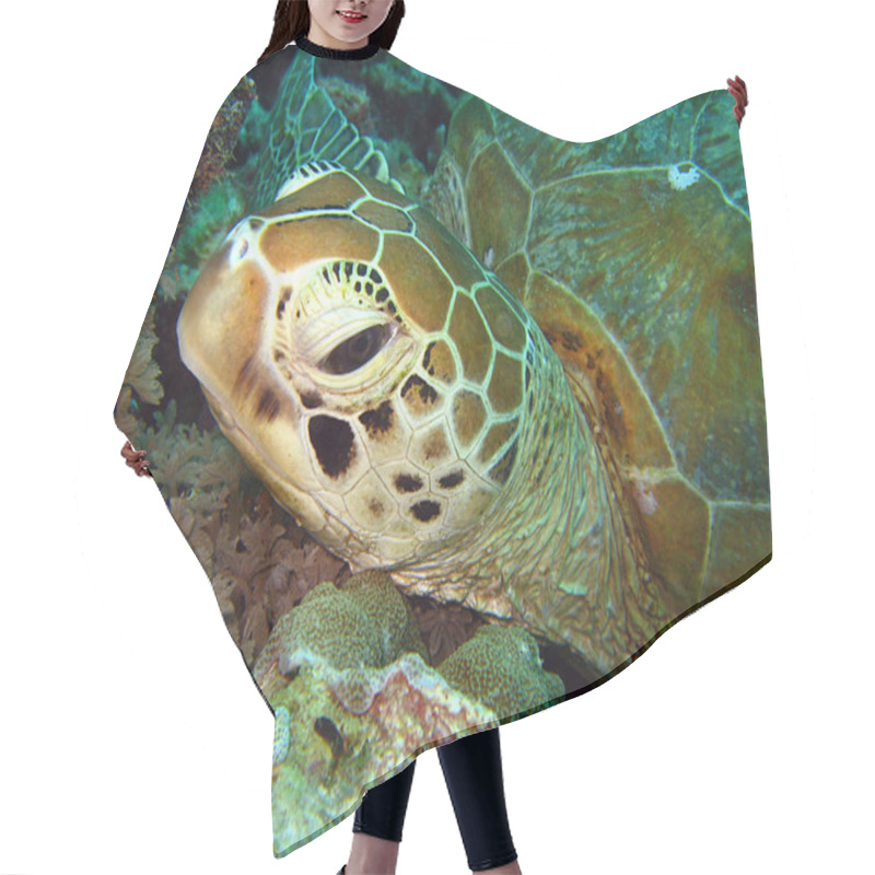 Personality  Green Turtle Close-up Hair Cutting Cape