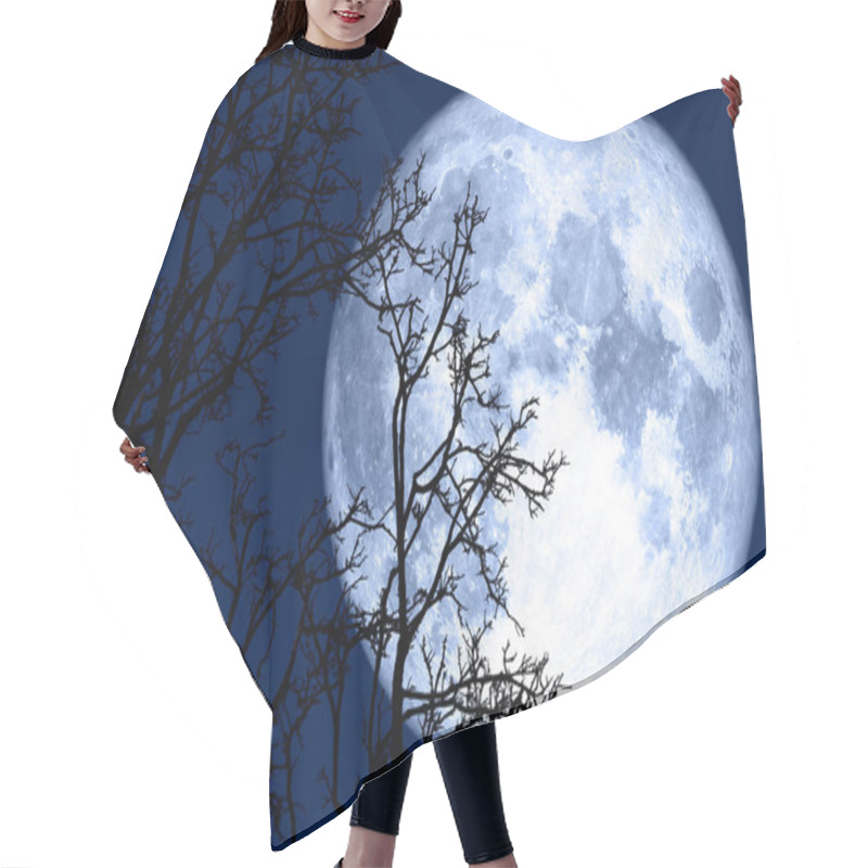 Personality  Full Sprouting Moon Back On Silhouette Plant And Trees On Night  Hair Cutting Cape