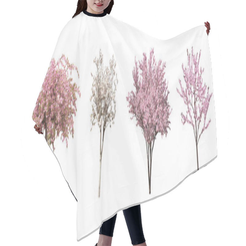 Personality  Beautiful Blossoming Sakura Trees On White Background, Collage. Banner Design Hair Cutting Cape