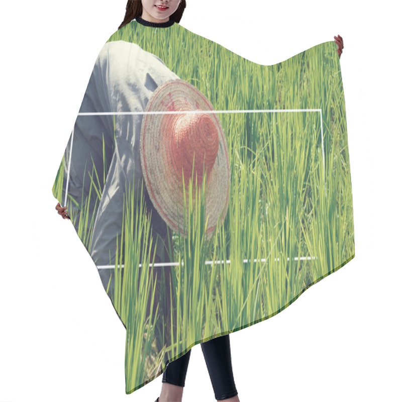 Personality  Asian Farmer Harvesting Rice Hair Cutting Cape