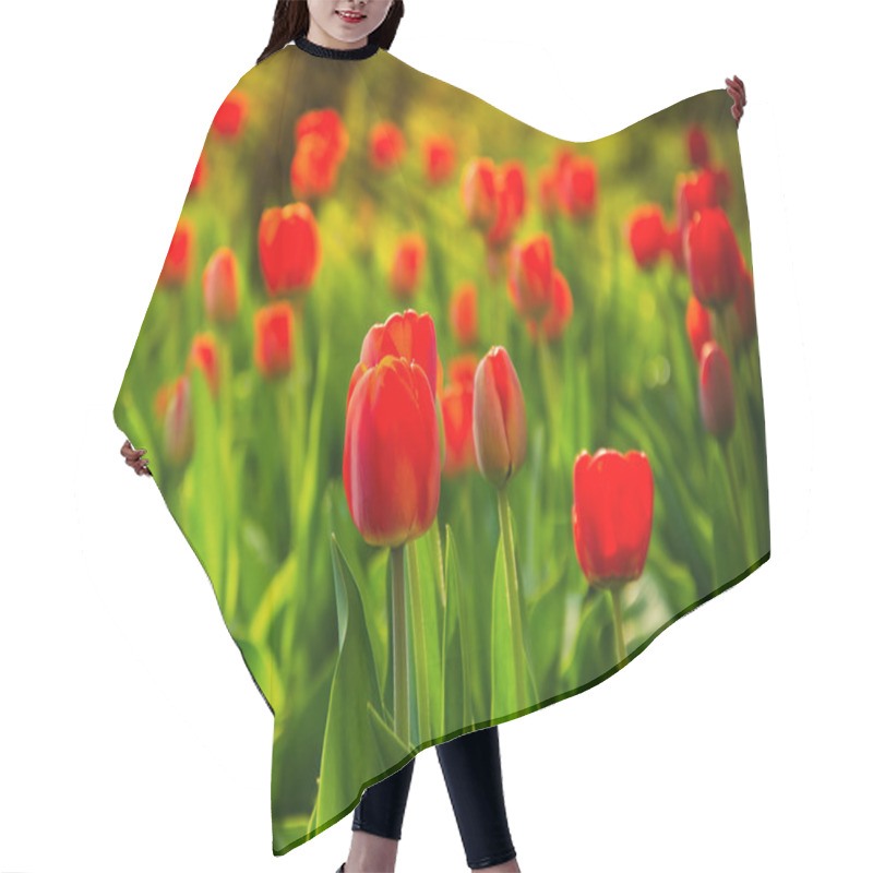 Personality  Red Tulips Hair Cutting Cape