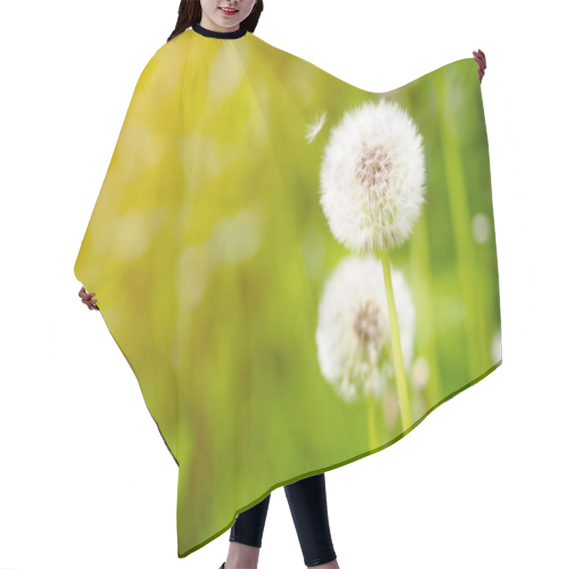 Personality  Dandelion On Fresh Green Background Hair Cutting Cape