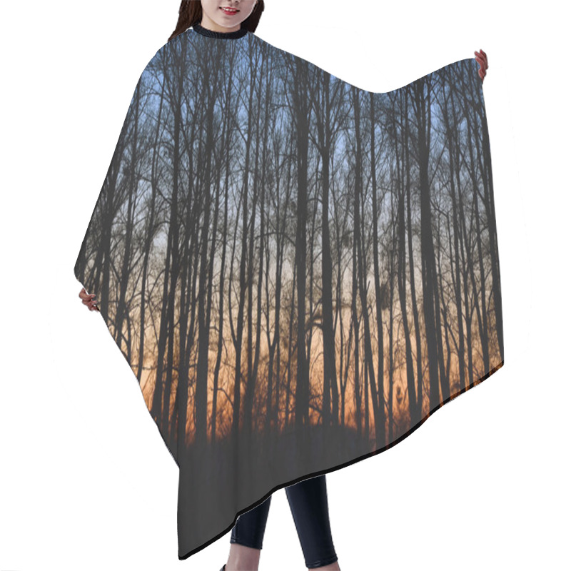 Personality  Sunset In The Woods Autumn Forest Hair Cutting Cape