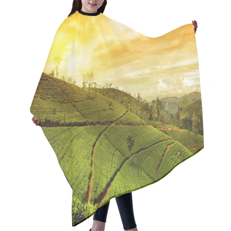 Personality  Tea Plantation Landscape Hair Cutting Cape