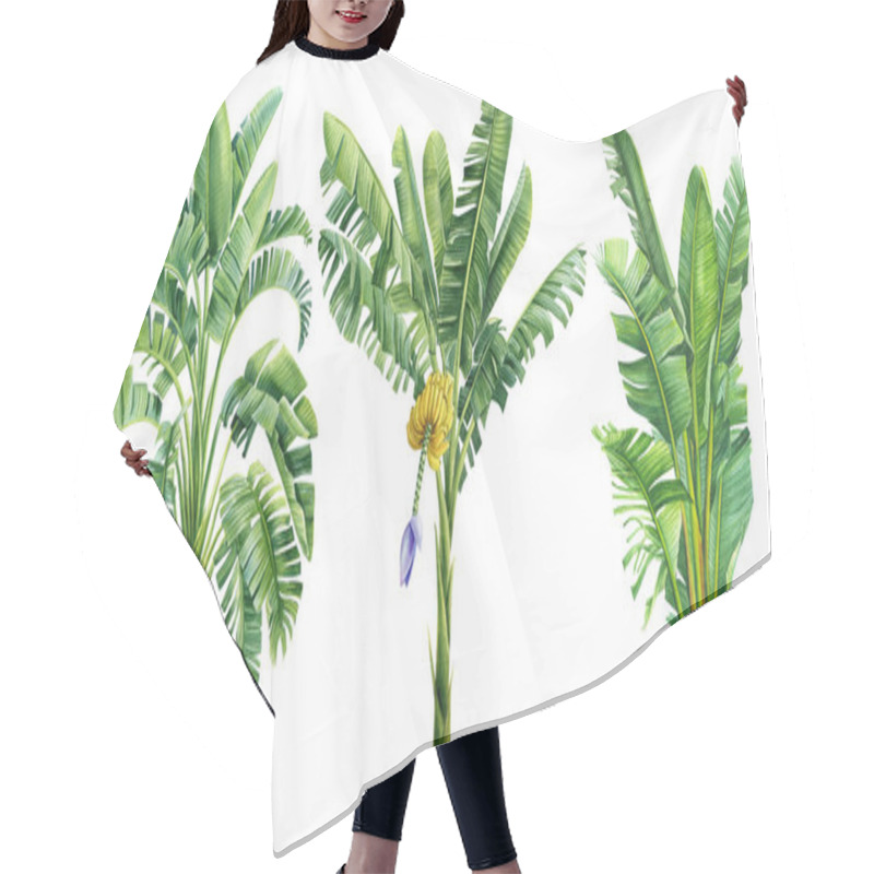 Personality  Palm Trees On Isolated White Background, Tropical Set Palm. High Quality Illustration Hair Cutting Cape