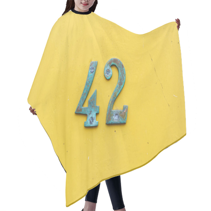 Personality  House Number 42 Hair Cutting Cape