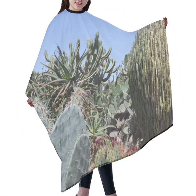 Personality  Cactusfield At La Palma, Canary Islands Hair Cutting Cape