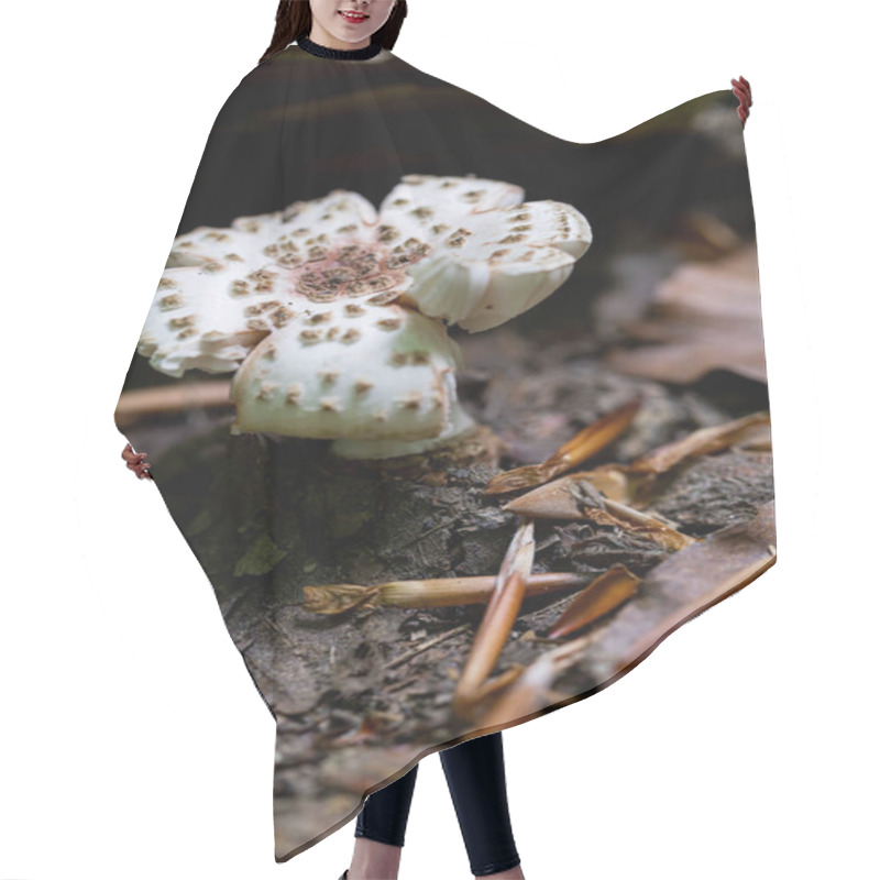 Personality  Gilled Mushrooms On A Forest Floor Hair Cutting Cape