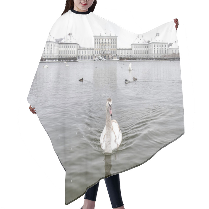 Personality  Swan In Front Of Castle Nymphenburg Palace In Winter With Snow Hair Cutting Cape