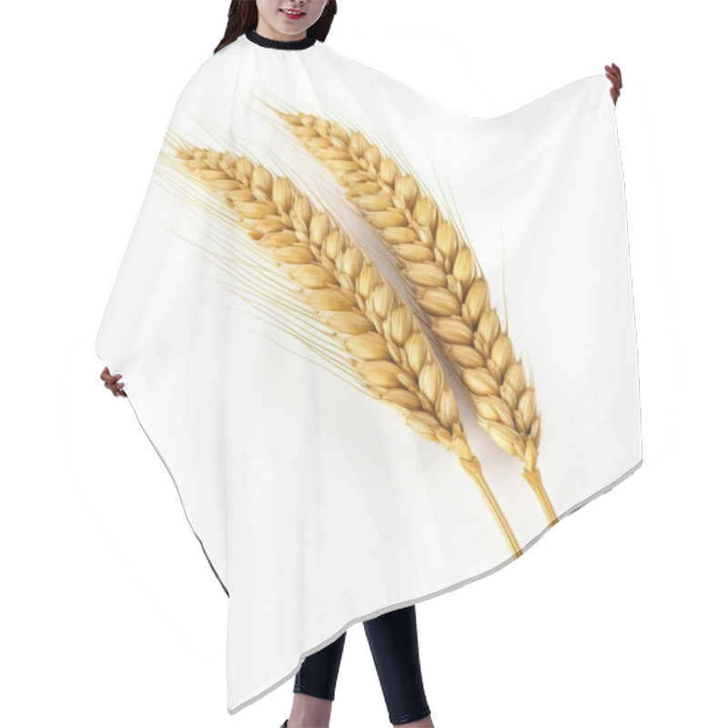 Personality  Golden Wheat Ears Arranged Elegantly, Symbolizing Harvest And Abundance. Hair Cutting Cape