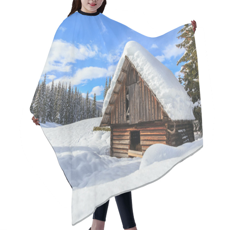 Personality  Winter Forest In Alps Hair Cutting Cape