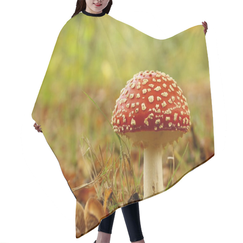 Personality  Red Stipe Mushroom Hair Cutting Cape