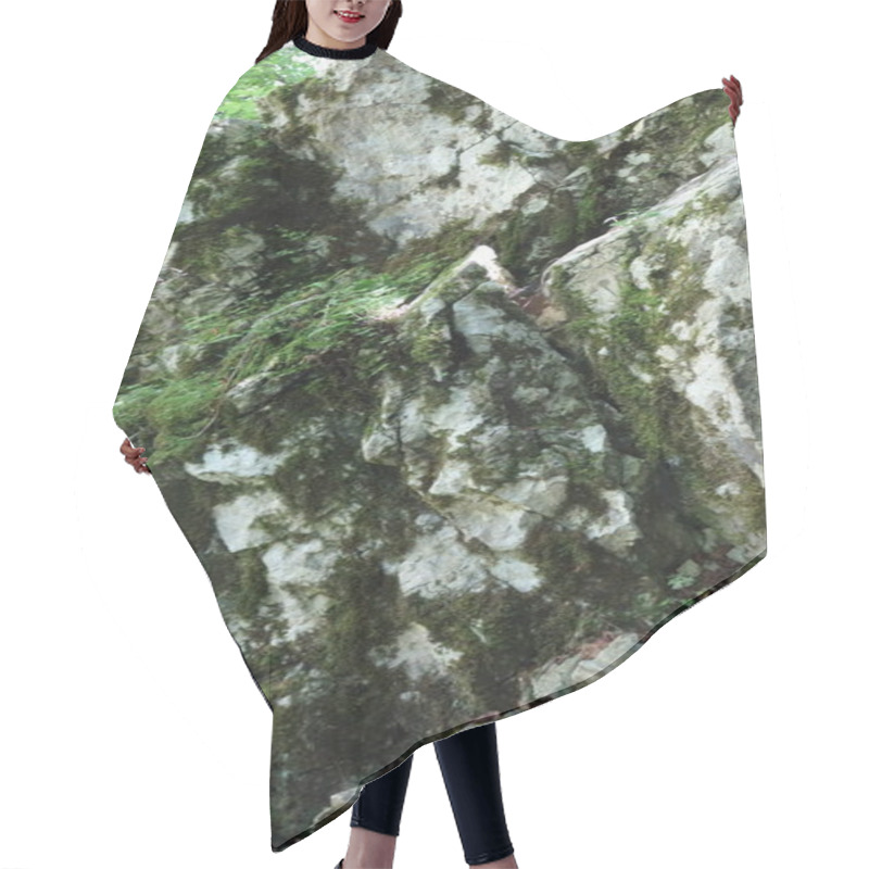 Personality  Lush Green Moss Covering Rugged Rocks In A Forested Area, Showcasing Natural Beauty And Tranquility. Hair Cutting Cape