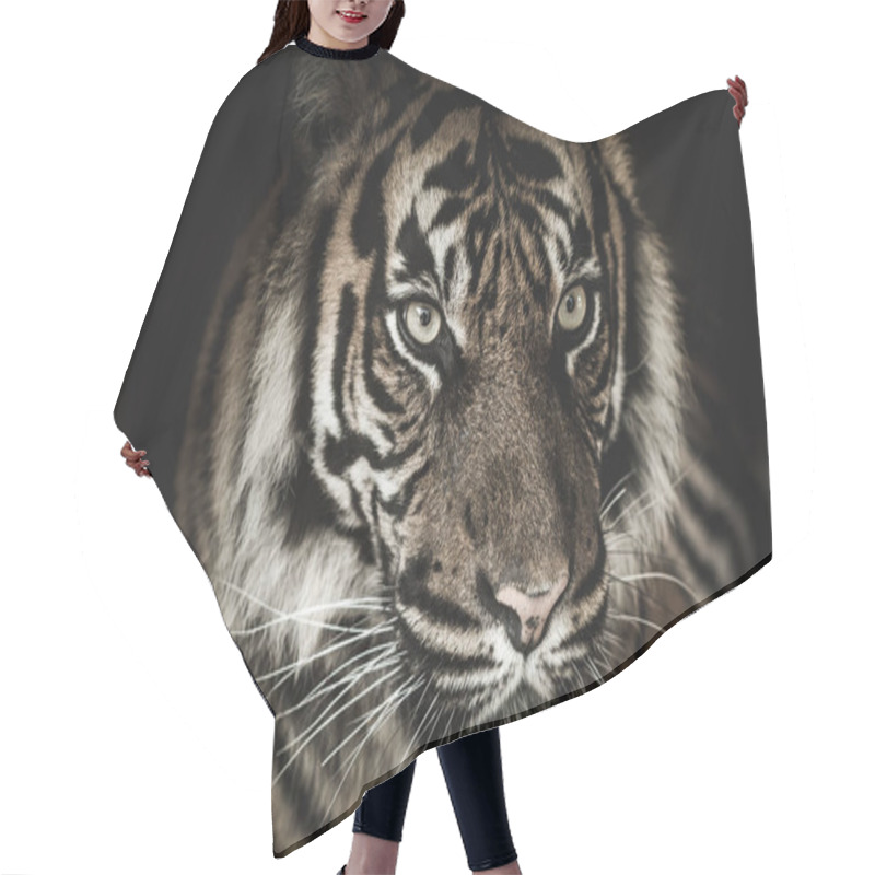 Personality  Black And White Beautiful Tiger Isolated On Black Background Hair Cutting Cape