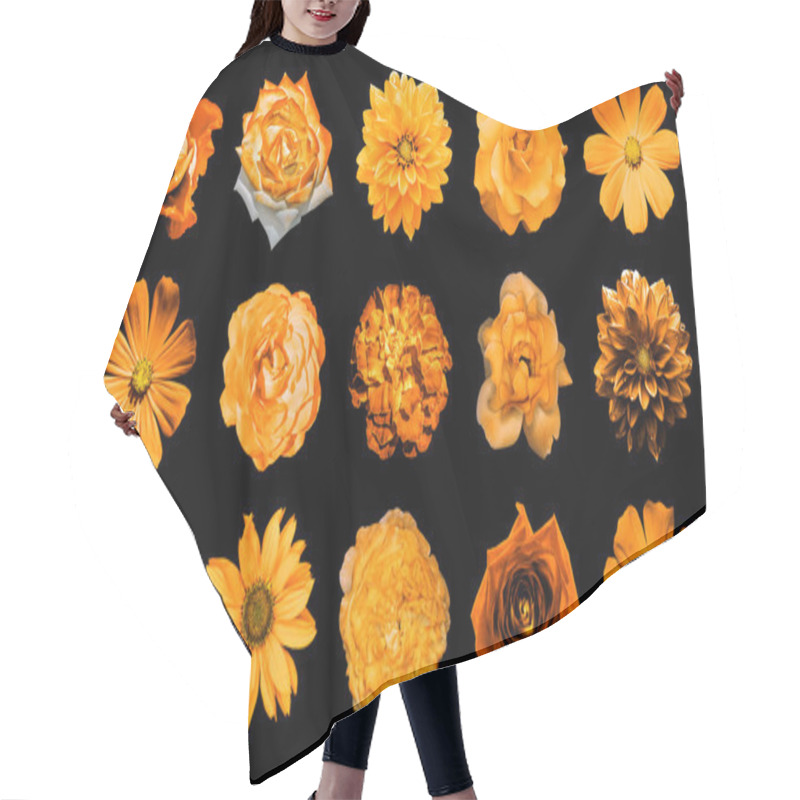 Personality  Mix Collage Of Natural And Surreal Orange Flowers 15 In 1: Dahlias, Primulas, Perennial Aster, Daisy Flower, Roses, Peony Isolated On Black Hair Cutting Cape