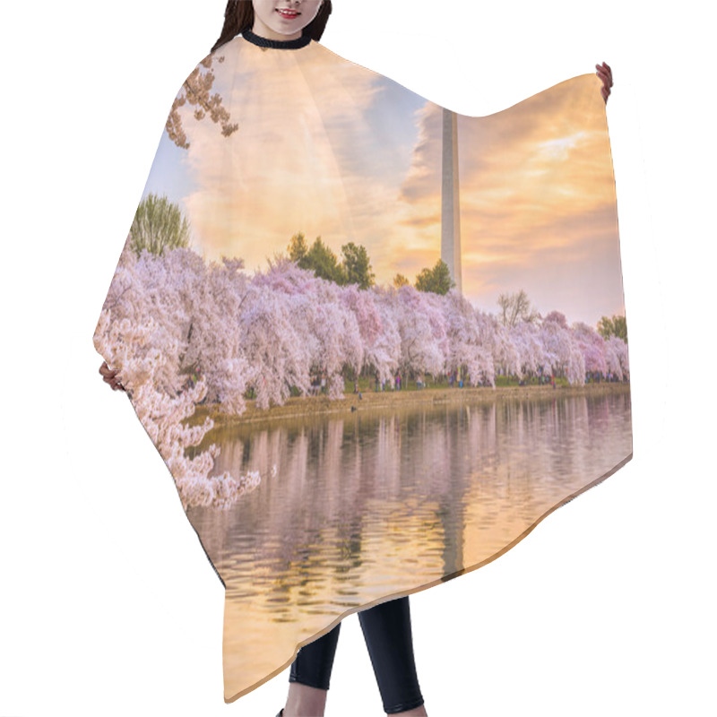 Personality  Washington DC In Spring Hair Cutting Cape