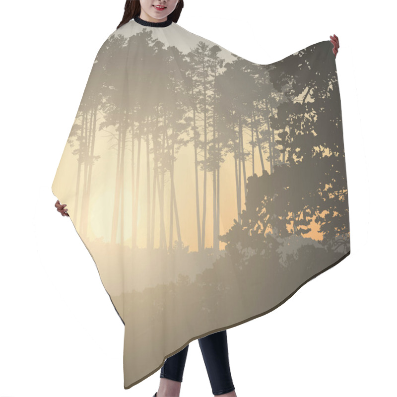 Personality  Vector Illustration Of A Coniferous Forest With The Rising Sun Hair Cutting Cape