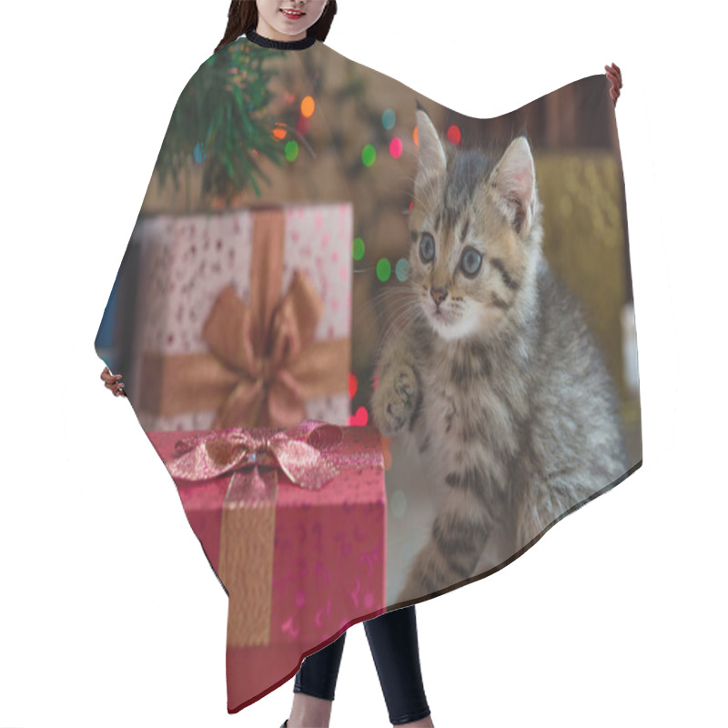 Personality  Cute Kitten In Christmas. Hair Cutting Cape