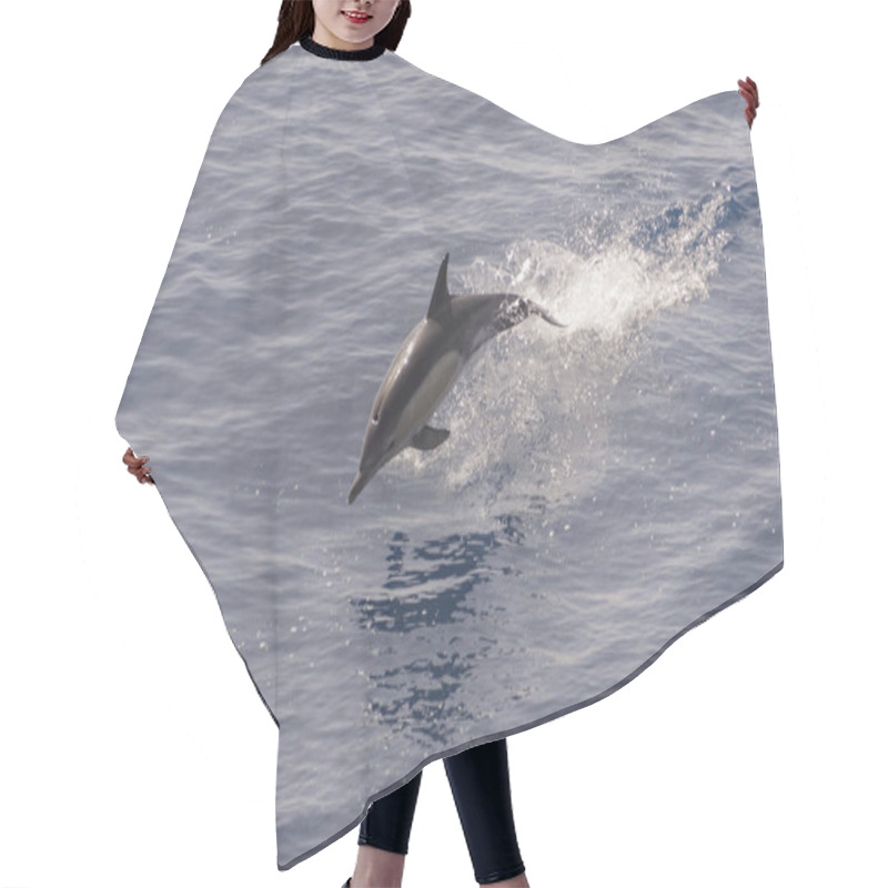 Personality  Dolphin Jumping Out Of Calm Sea Hair Cutting Cape