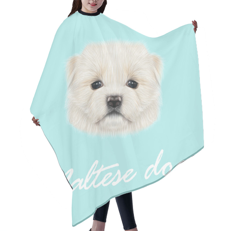 Personality  Maltese Puppy Portrait. Hair Cutting Cape