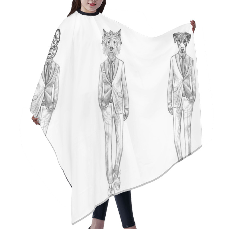 Personality  Sketch French Bulldog, Jack Russel Terrier And White Terrier Hair Cutting Cape