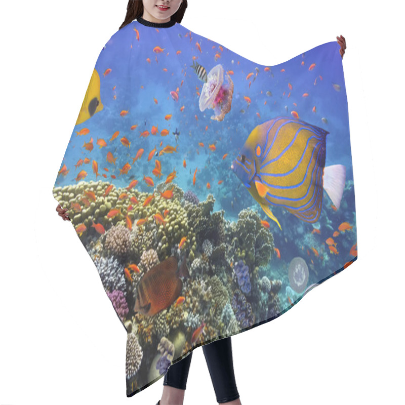 Personality  Coral Reef And Tropical Fish In The Red Sea Hair Cutting Cape