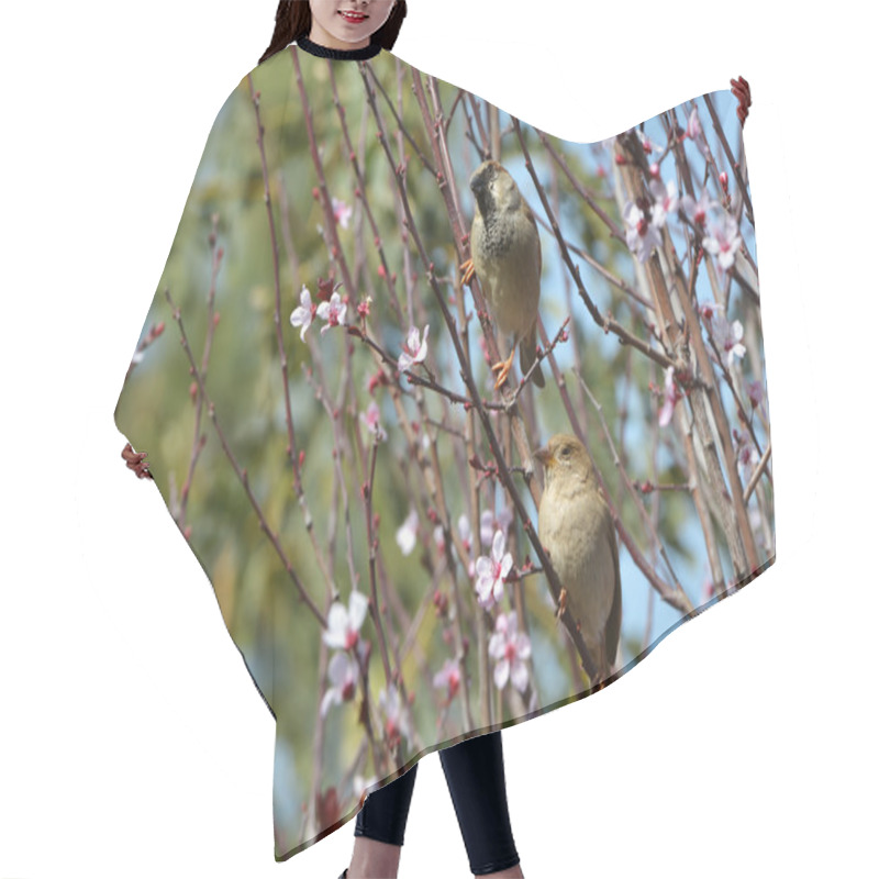 Personality  Pair Of Sparrows Hair Cutting Cape