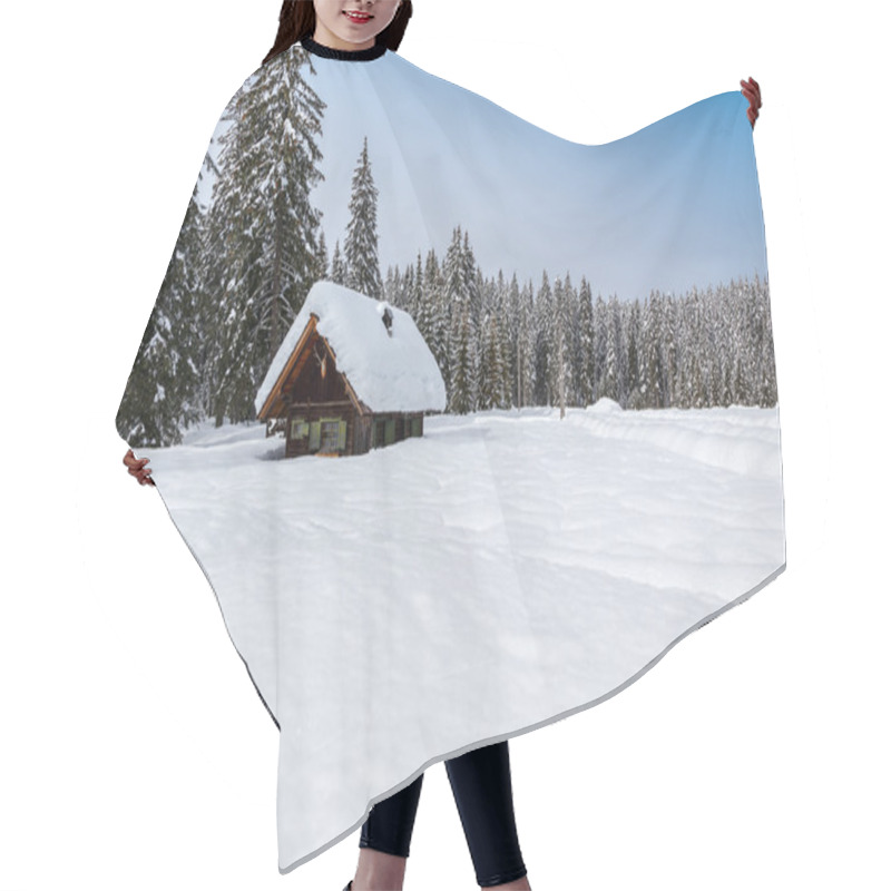 Personality  Winter Forest In Alps Hair Cutting Cape