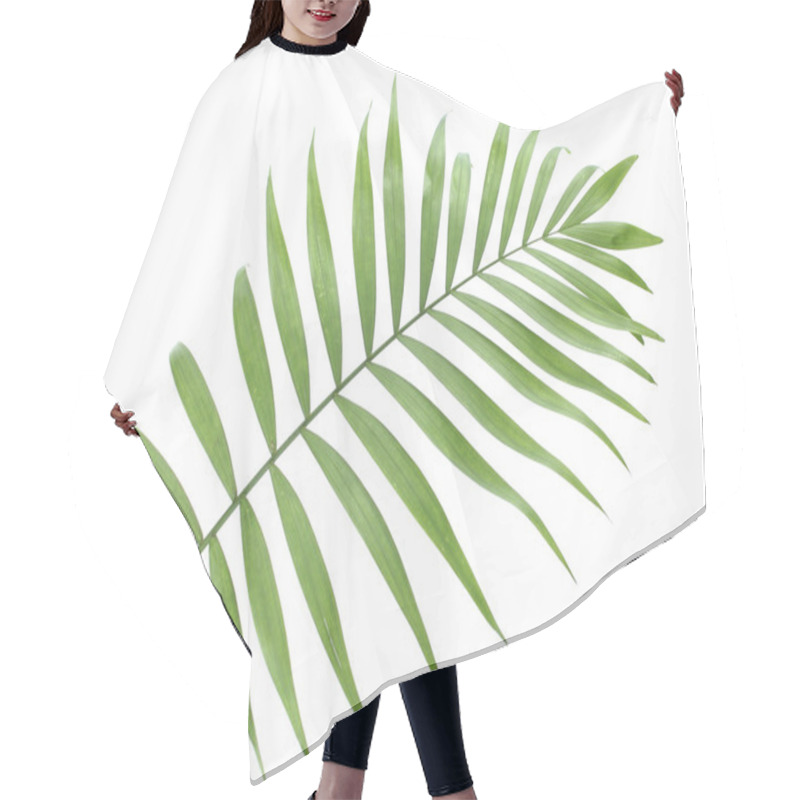 Personality  Beautiful Green Palm Leaf Isolated On White Hair Cutting Cape