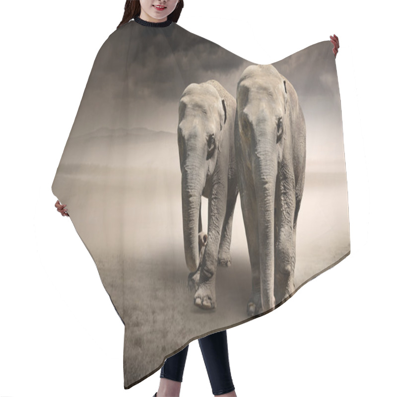 Personality  Pair Of Elephants In Motion Hair Cutting Cape