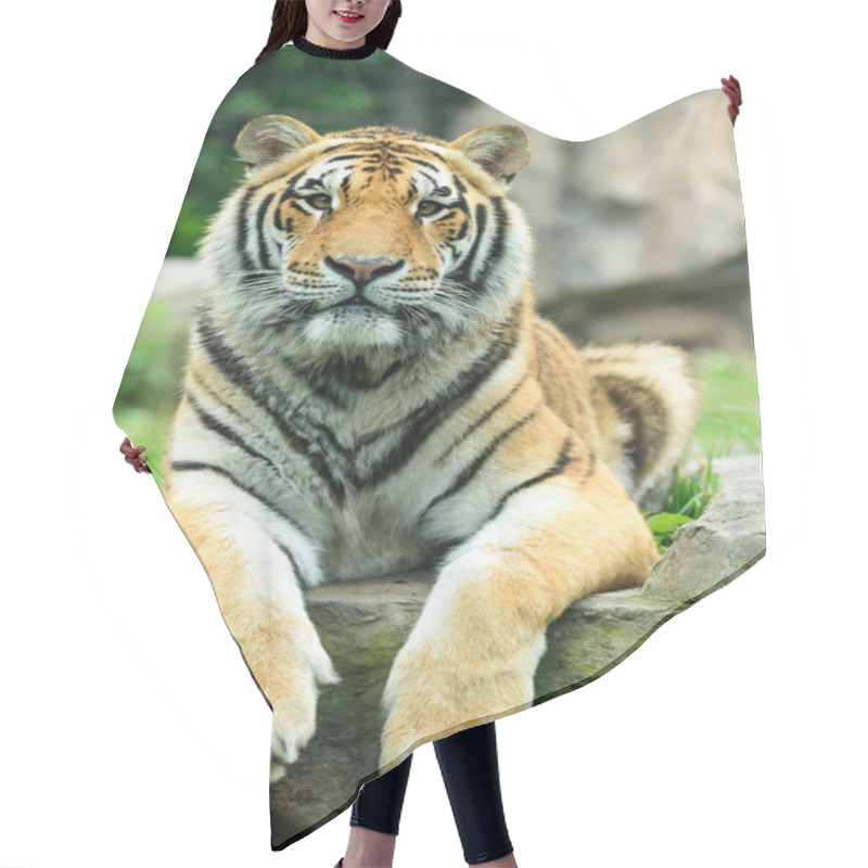 Personality  The Tiger Face Hair Cutting Cape