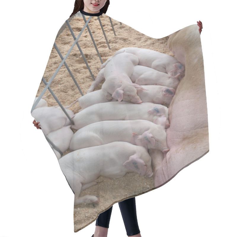 Personality  Milk Piggy Feeding Hair Cutting Cape