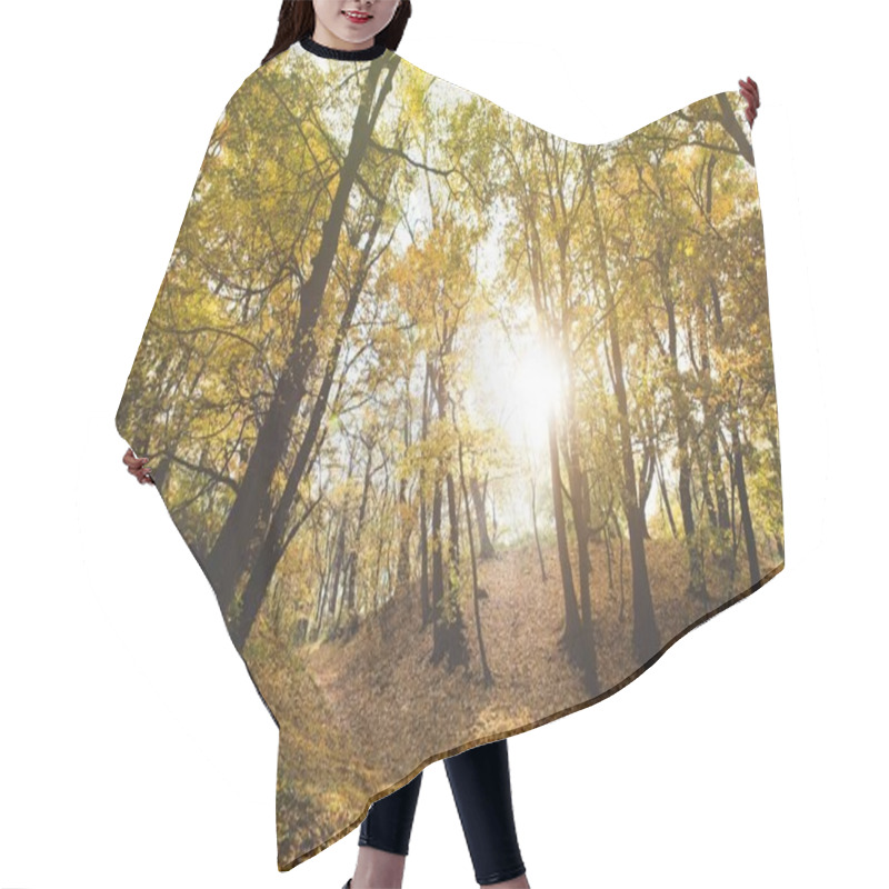 Personality  Beautiful Autumn Forest Hair Cutting Cape