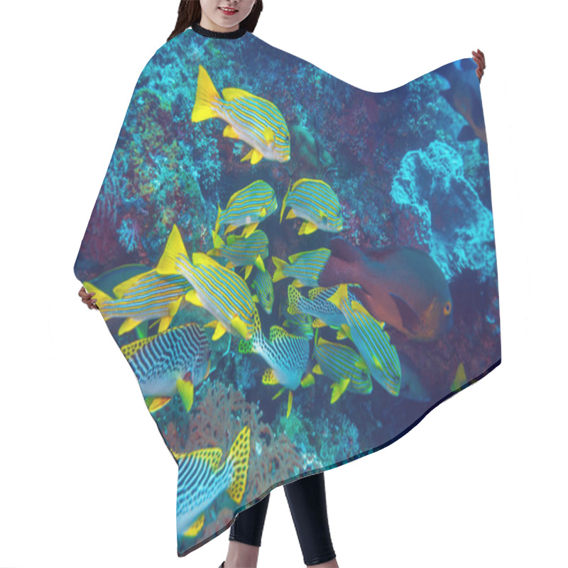 Personality  Underwater Landscape With Sweetlips Fishes Hair Cutting Cape