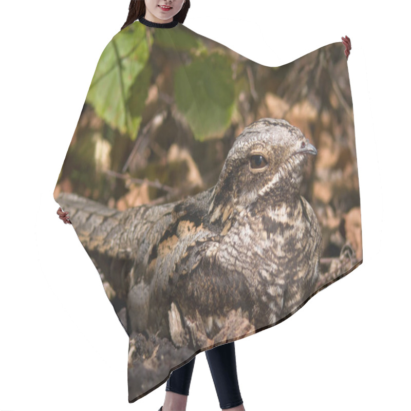 Personality  European Nightjar Art Of Camouflage Hair Cutting Cape