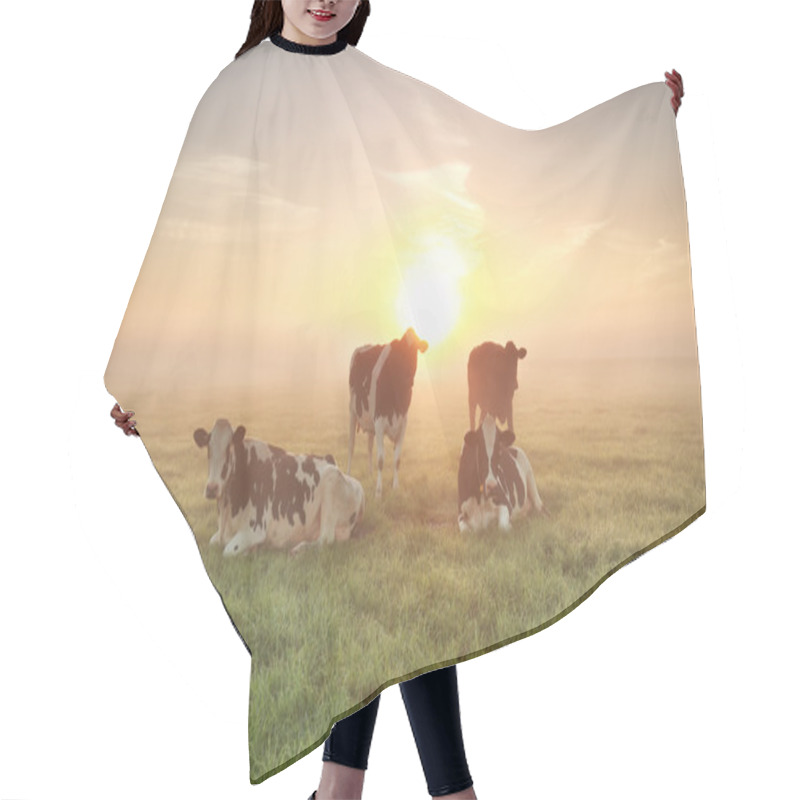 Personality  Few Cows Relaxed On Pasture Hair Cutting Cape