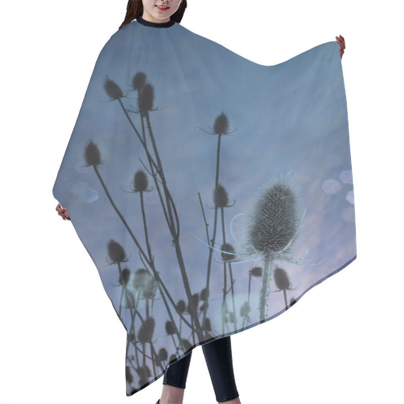 Personality  Thistle Dawn Hair Cutting Cape