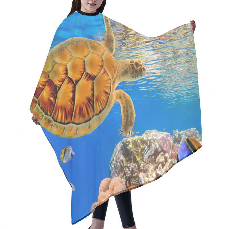 Personality  Green Sea Turtle Swiming Over Coral Reef Hair Cutting Cape