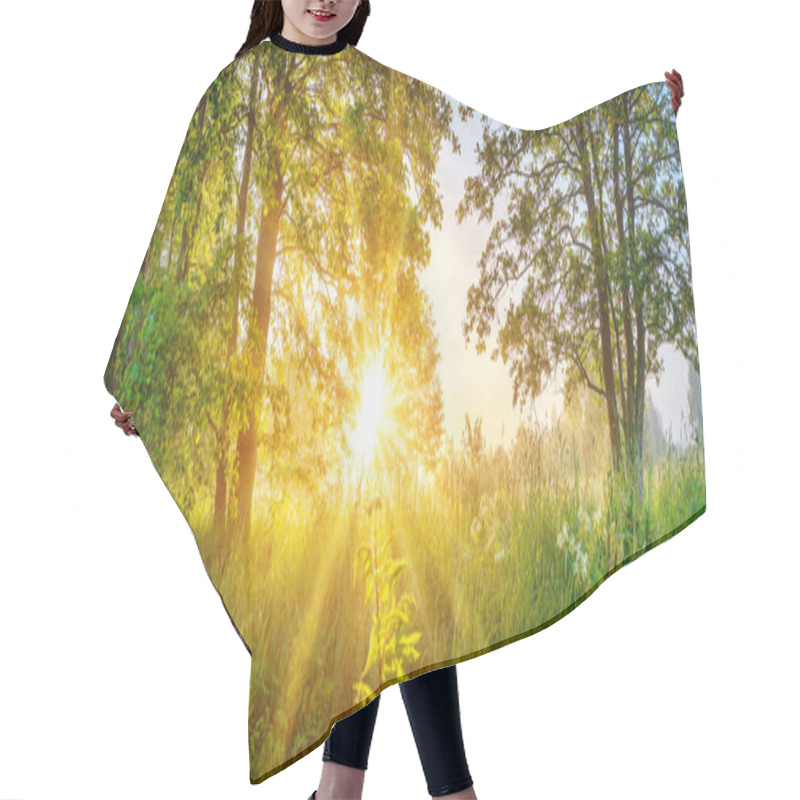 Personality  Foggy Background In Natural Park In The Morning. Tranquil Scene In Woodland. Hair Cutting Cape