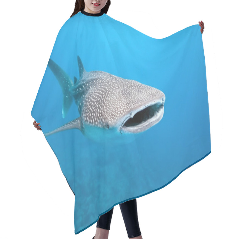 Personality  Whale Shark Hair Cutting Cape